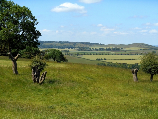 dunstable downs
