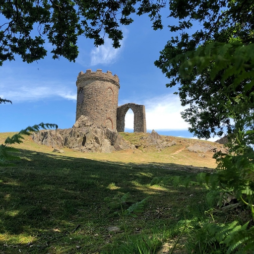 Bradgate park