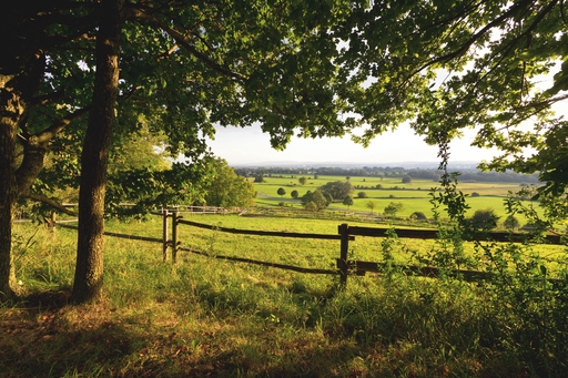 Kent countryside 