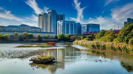 East India Nature Reserve in East London