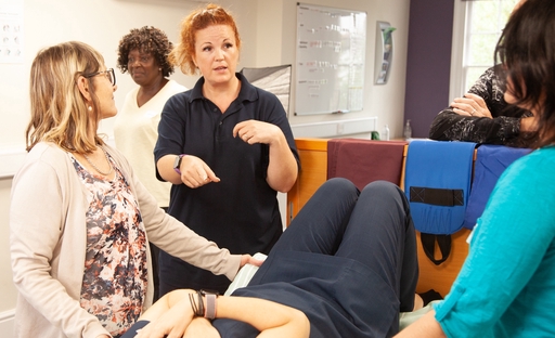 Consultus carers conducting training together