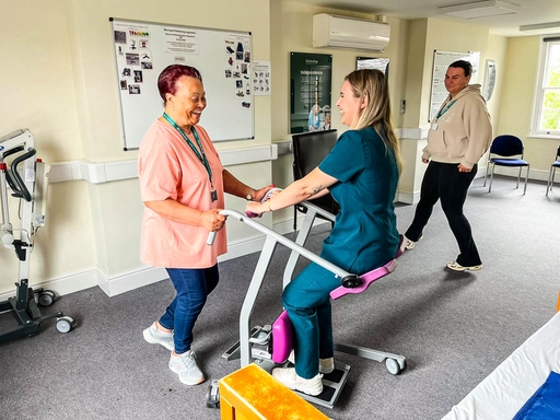 Consultus carers conducting training together
