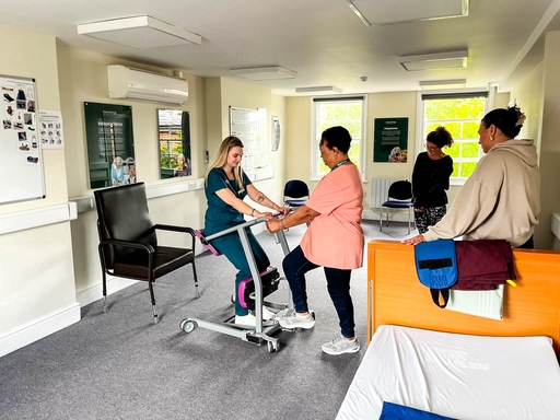 Consultus Carers going through training